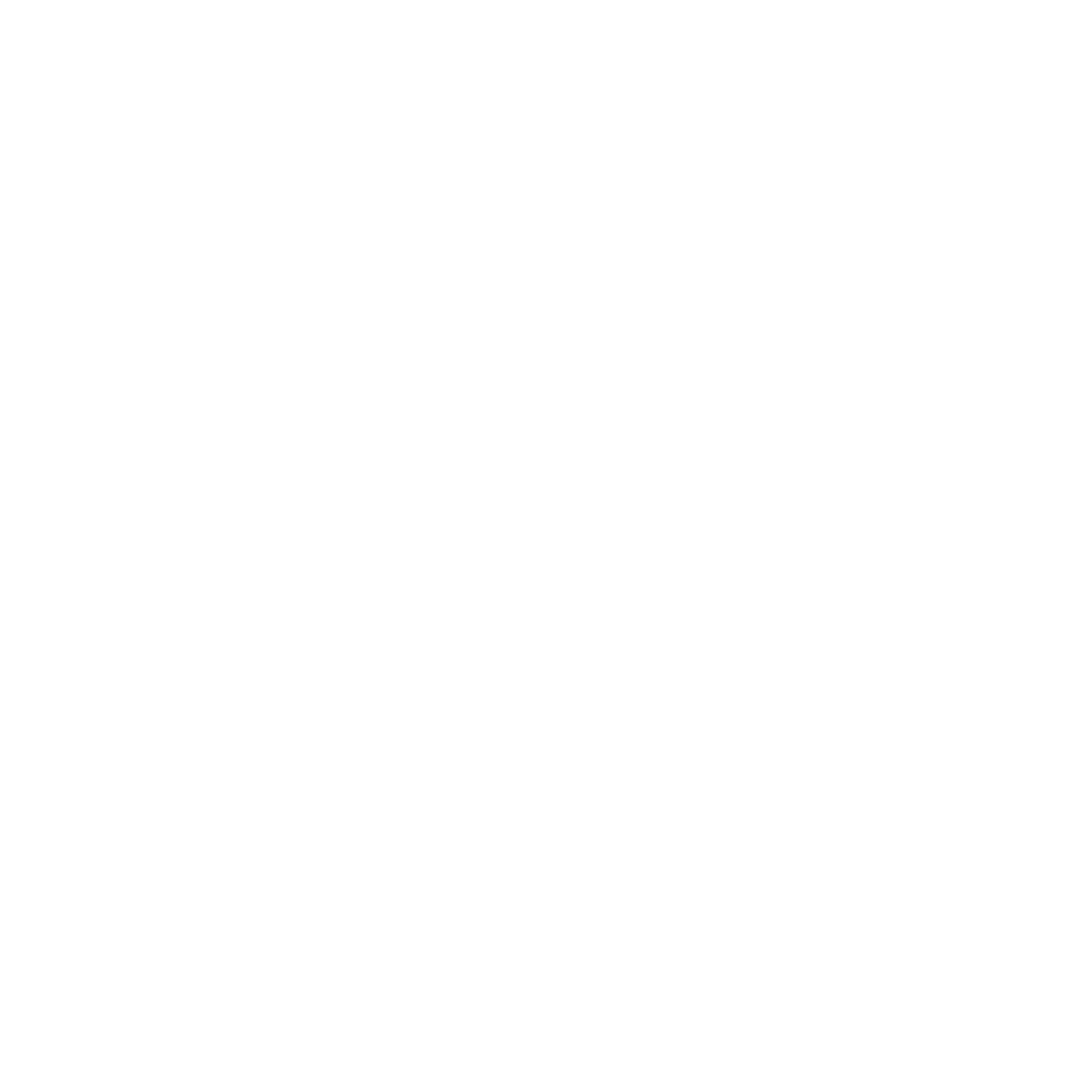 logo Bavaco Consultoría blanco