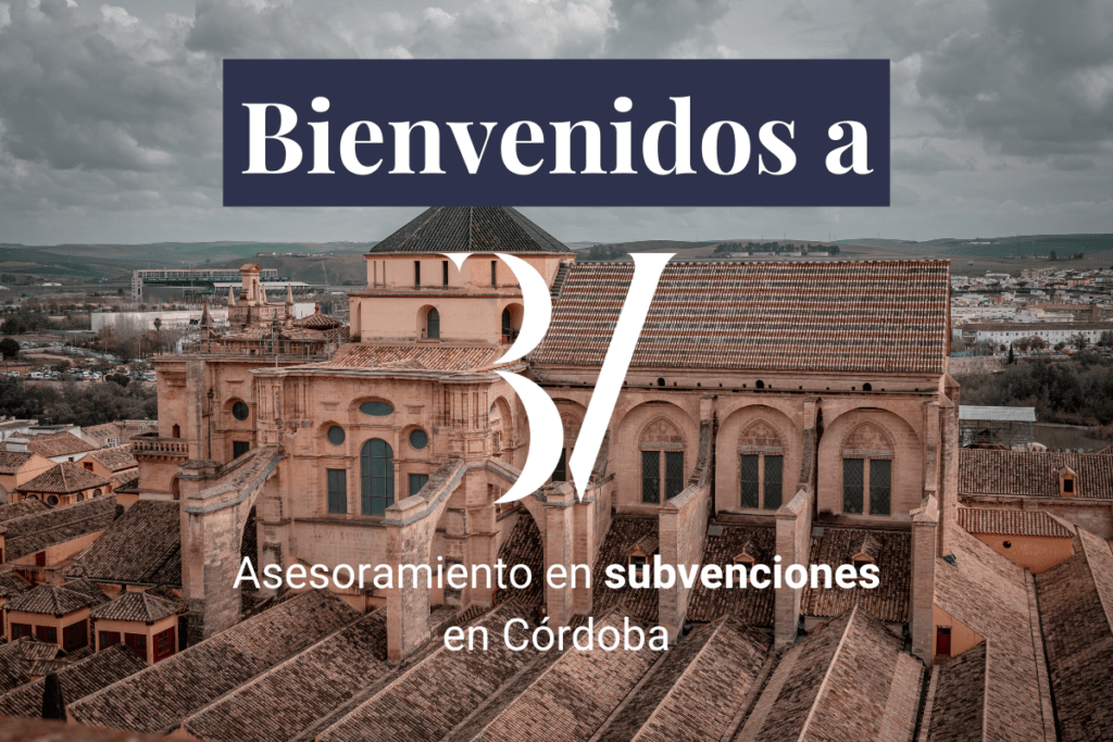 asesoramiento de subvenciones