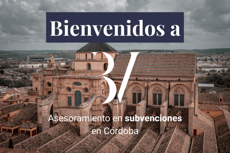 asesoramiento de subvenciones
