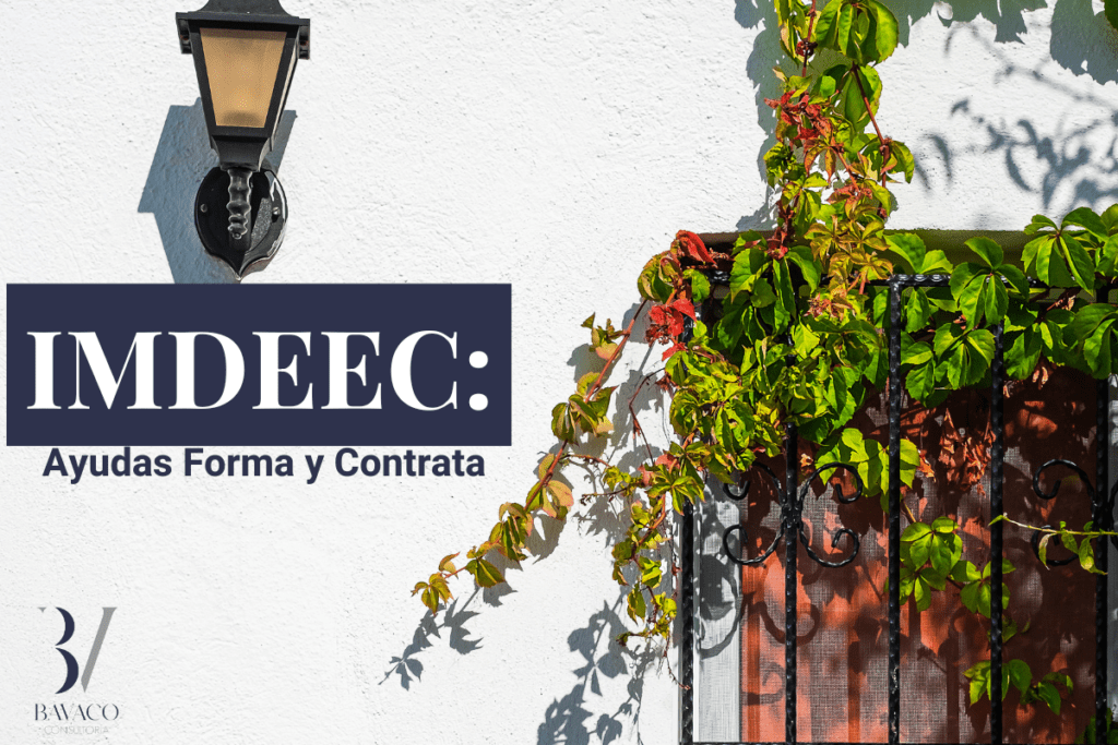 Todo lo que debes saber sobre las ayudas Forma y Contrata IMDEEC